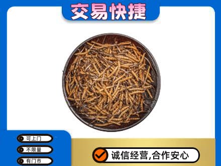 柳州回收散虫草